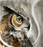 An original Owl painting by Iona Moran