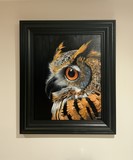 The Great Horned Owl